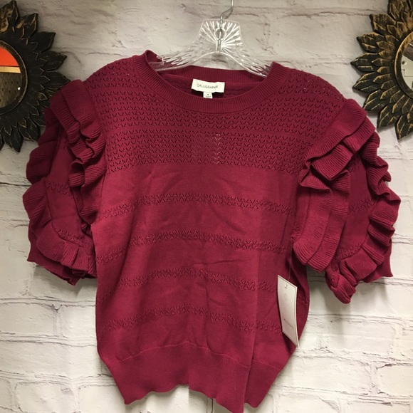 calligraphie Tops - NEW CROP SWEATER TOP OVERSIZED RUFFLE Sleeves  Raspberry SZ M